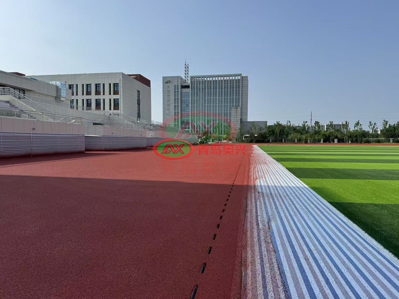 2026山东省球类运动场地建设与选型白皮书——地域气候适配与工程品质管控指南